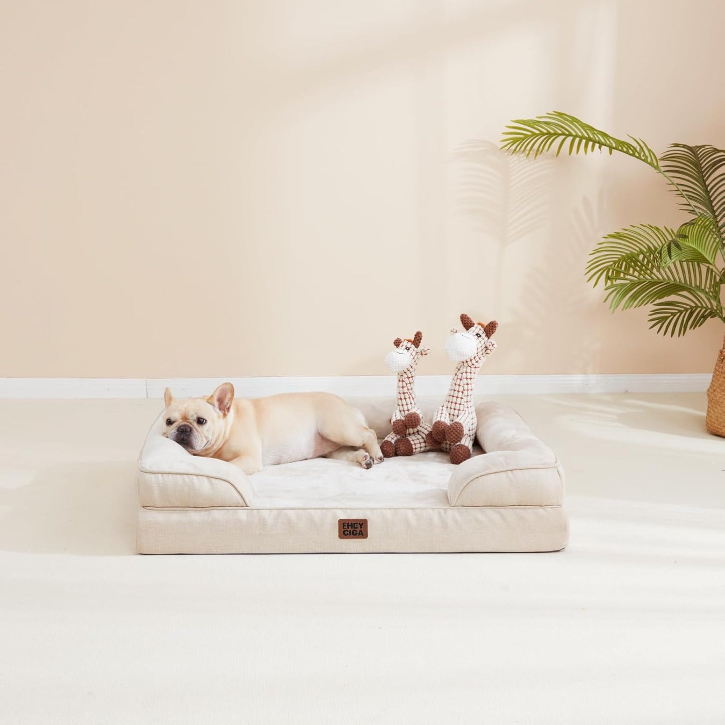 Camas Ortopédicas para Cães